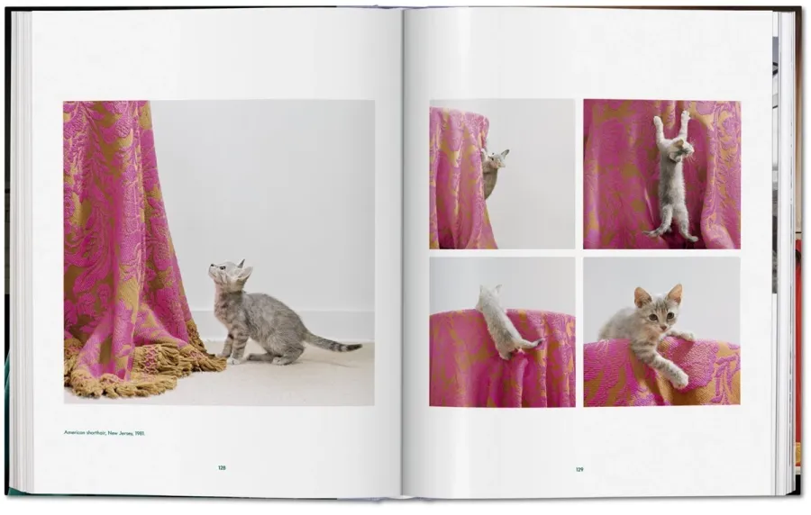 obrazek 4 Książka Walter Chandoha. Cats. Photographs 1942–2018 - Taschen