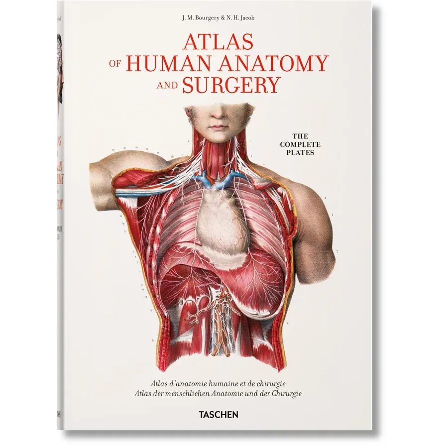 obrazek 1 Książka Bourgery. Atlas anatomii i chirurgii człowieka - Taschen