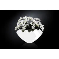 Picture A delightful large flowerpot for the living room