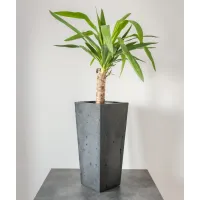 Zdjęcie 24x24x93 cm (spód) + 32x32 cm (góra) CT - Donica betonowa w kształcie stożka (antracytowa)