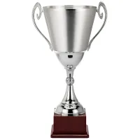 Picture Italian cup for sporting events