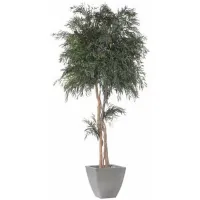 Zdjęcie Kompozycja z ustabilizowanego eukaliptusa nicoly