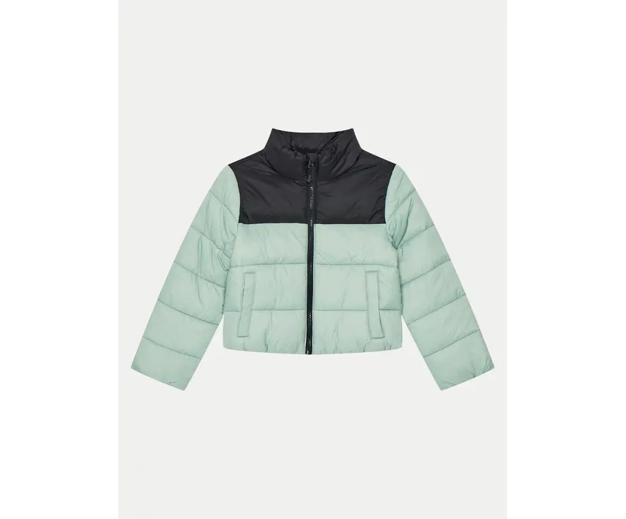 obrazek 1 4F Kurtka zimowa 4FJWAW24TDJAF452 Zielony Regular Fit