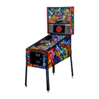 Zdjęcie Flipper Foo Fighters PRO