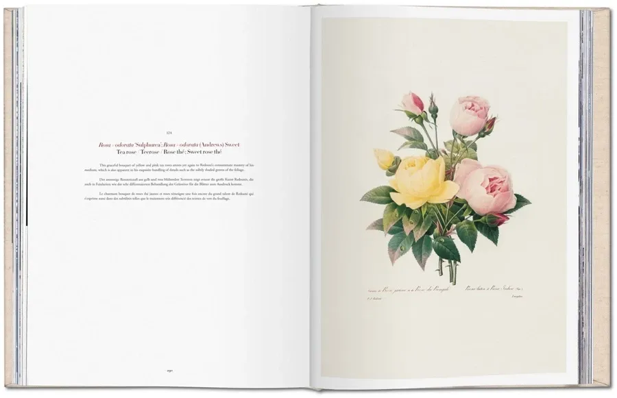 obrazek 8 Książka Redouté. Selection of the Most Beautiful Flowers - Taschen