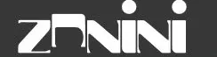 logo Zanini