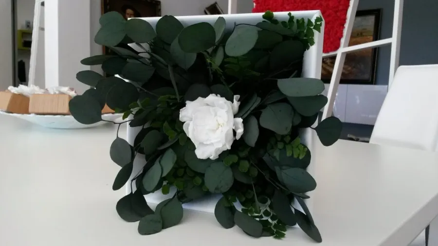 obrazek 5 Obraz roślinny z ustabilizowanych roślin z gardenią Only