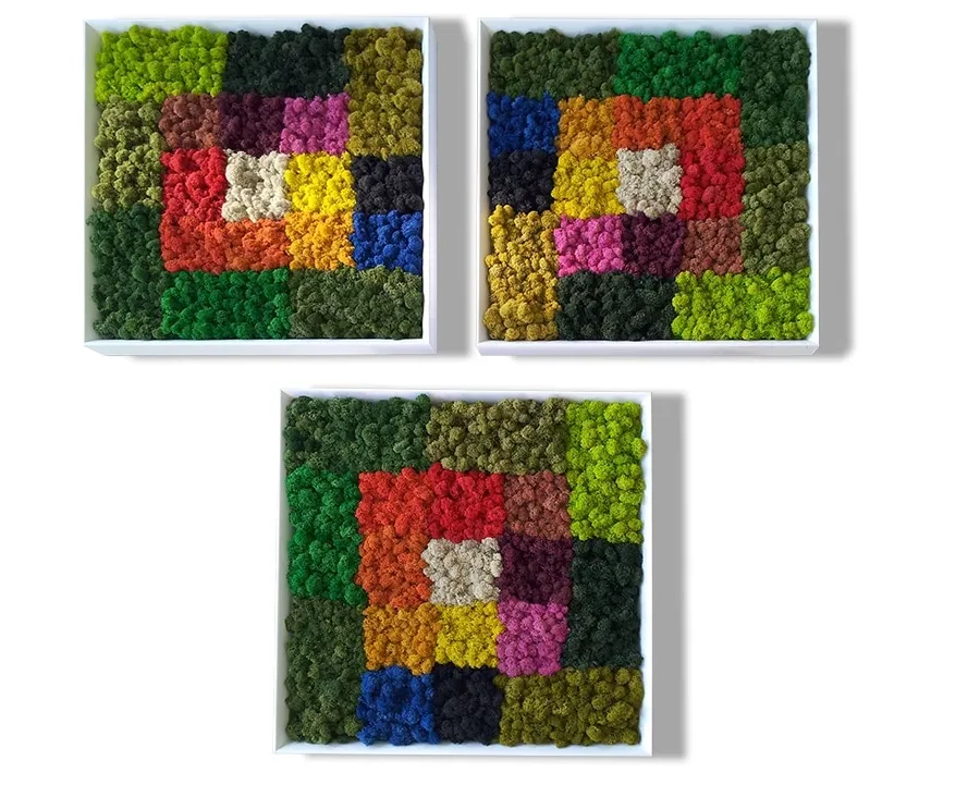 obrazek 3 Obraz z mchów stabilizowanych Patchwork