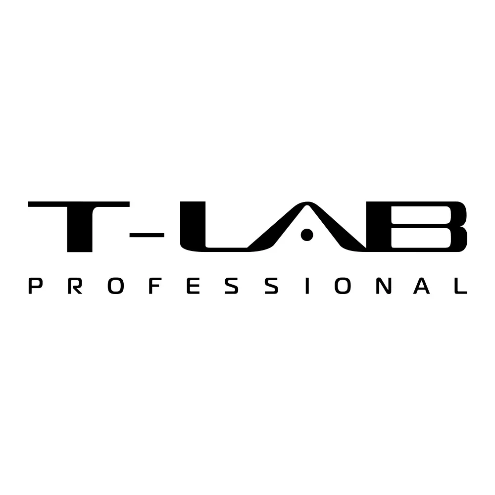 T3