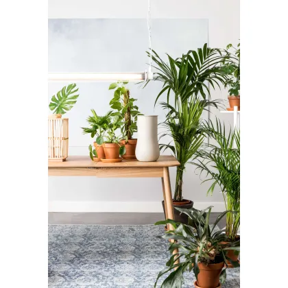 Zdjęcie Ekskluzywny dywan w holenderskim stylu - Zuiver