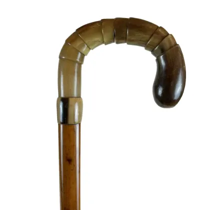 Picture A walking stick from the 1950s with a Bakelite handle