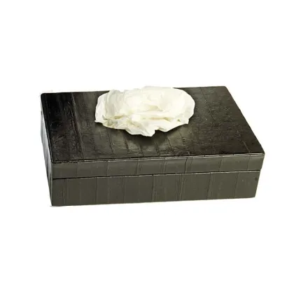 Picture Rectangular tissue box