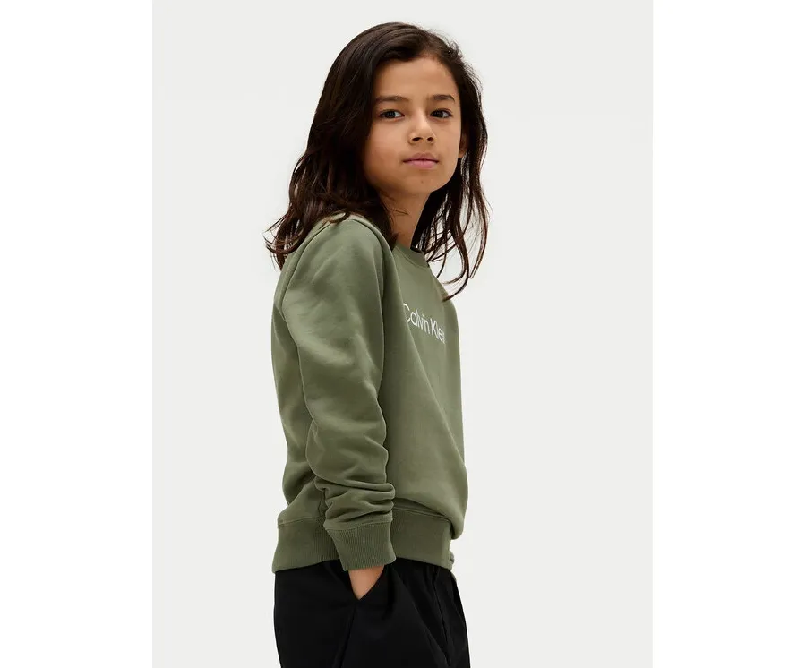 obrazek 1 Calvin Klein Jeans Bluza Inst Logo IU0IU00680 D Zielony Regular Fit