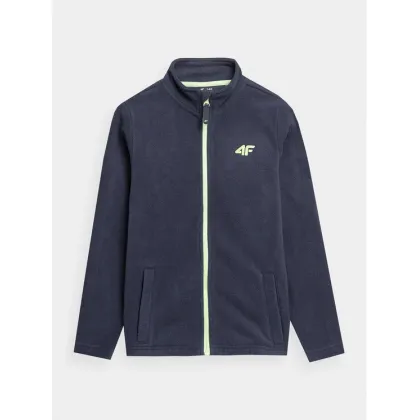 Zdjęcie 4F Polar 4FJAW23TFLEM105 Granatowy Regular Fit