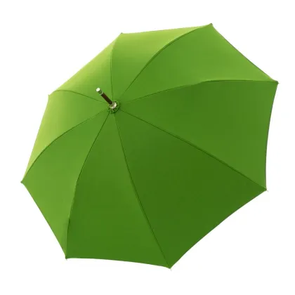 Zdjęcie Jasnozielona parasolka z drewnianym uchwytem - Doppler Manufaktur