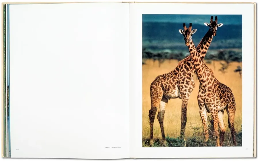 obrazek 7 Książka Frans Lanting. Eye to Eye - Taschen