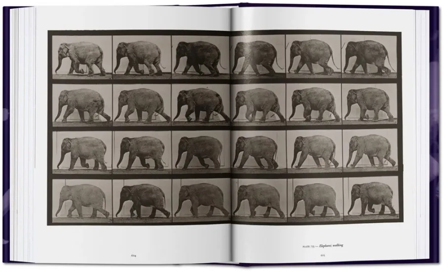 obrazek 6 Książka Muybridge. The Human and Animal Locomotion Photographs - Taschen