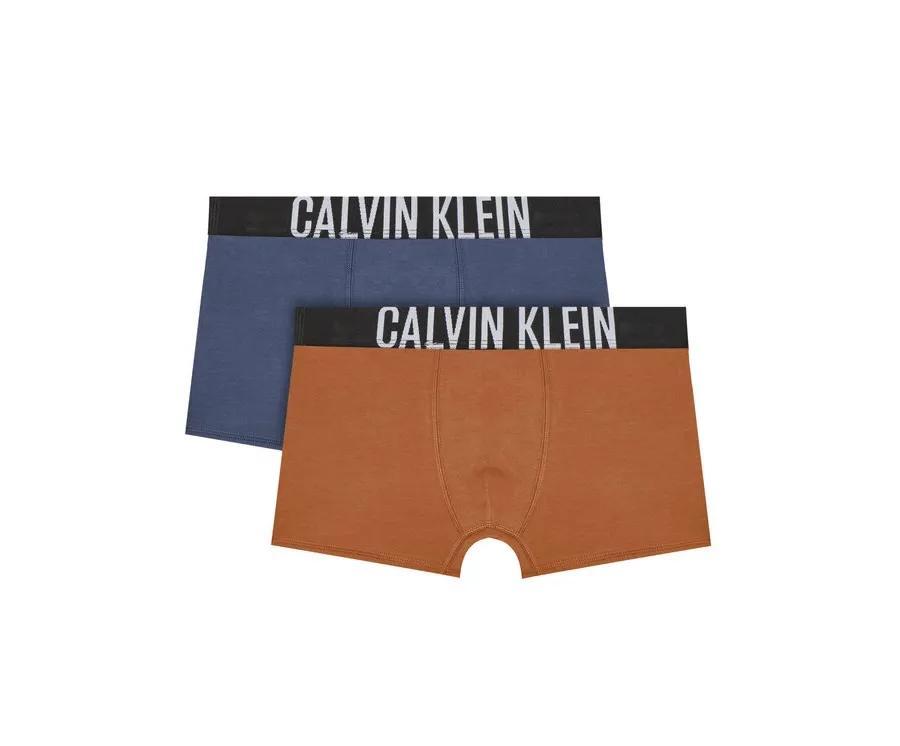 obrazek 1 Calvin Klein Underwear Komplet 2 par bokserek B70B700509 Kolorowy