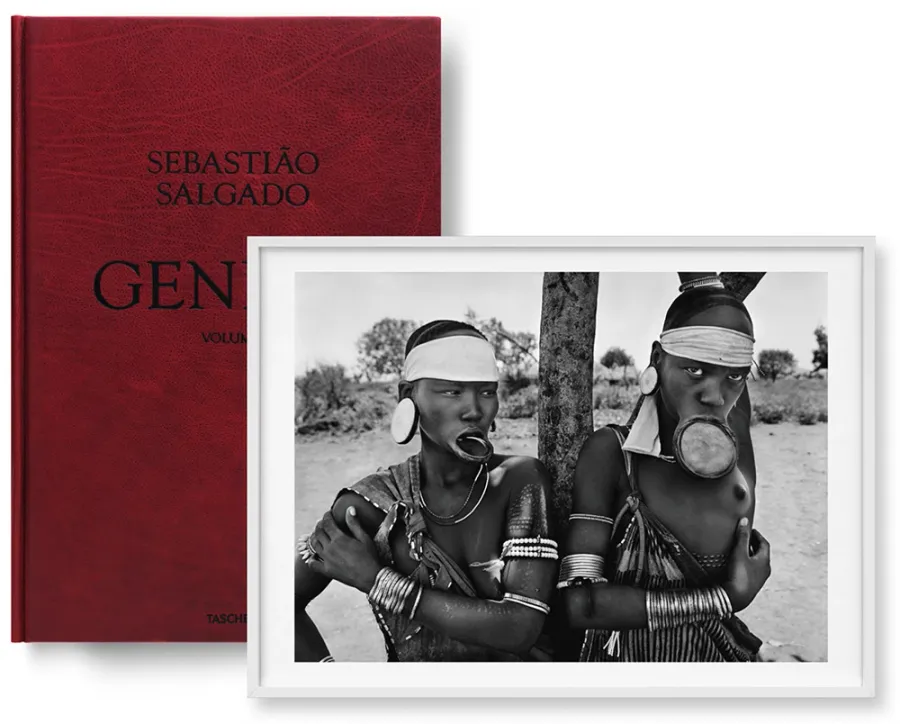 obrazek 6 Książka Sebastião Salgado. GENESIS, Art Edition No. 201–300 ‘Black-Browed Albatrosses, Falkland Islands’ - Taschen