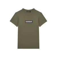 Zdjęcie Napapijri T-Shirt S-Chamois NP0A4HYL D Zielony Regular Fit