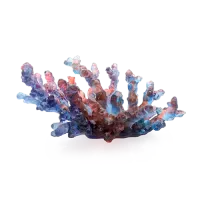 Picture A stylish medium plate inspired by the Coral Sea - Daum