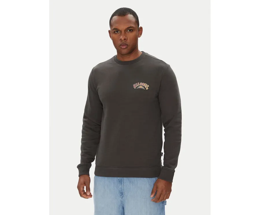 obrazek 1 Billabong Bluza Foundation Cr EBYSF00162 Szary Regular Fit
