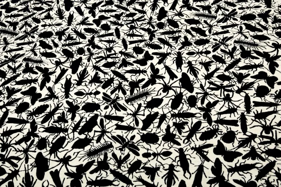 obrazek 3 Dywan z owadami - INSECTS