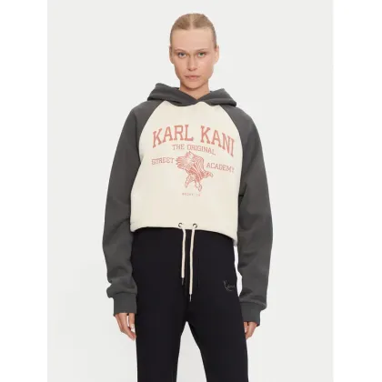 Zdjęcie Karl Kani Bluza Street Academy 61210023 Beżowy Regular Fit