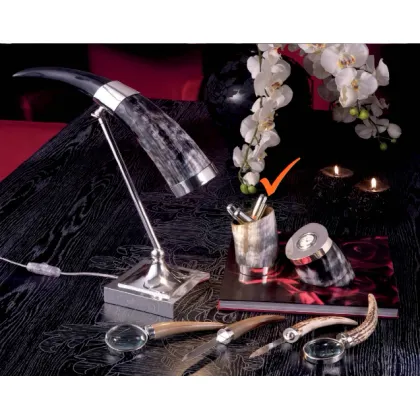 Picture A charming pen holder made of silver and ox horn