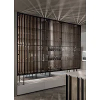 Picture Decorative display cabinet for the living room with light brown inserts