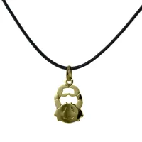 Zdjęcie Złota zawieszka ze znakiem zodiaku Raka