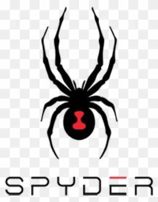 Spyder
