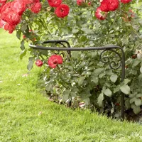 Zdjęcie Podpora pod róże Cunfin