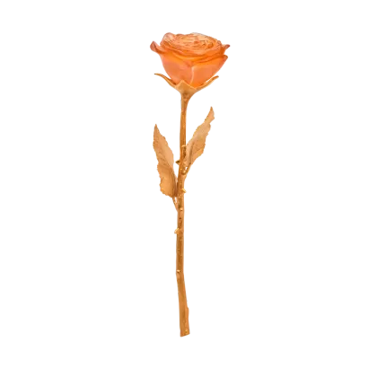 Zdjęcie Piękna wieczna róża w kolorze bursztynu – marka Daum