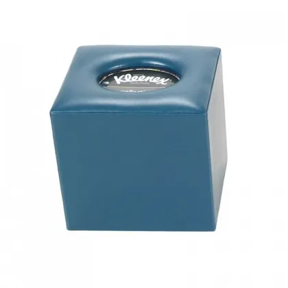 Picture A unique tissue box