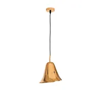 Picture Phenomena hanging lamp lily flower
