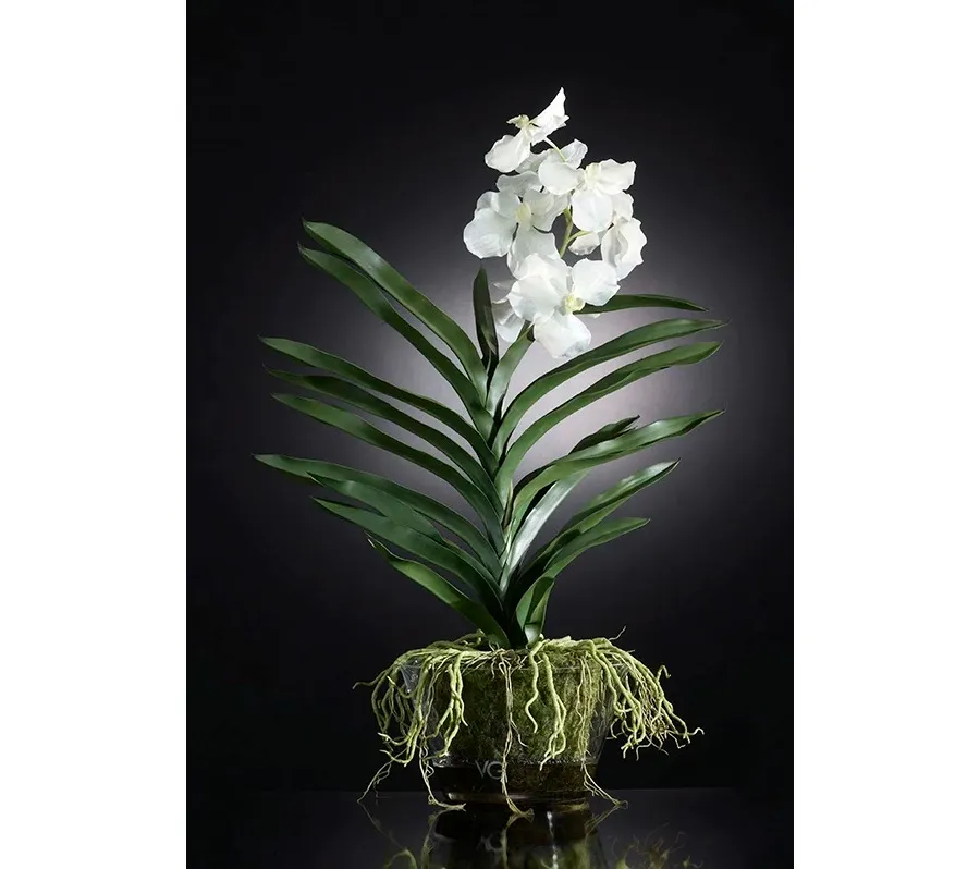 obrazek 1 Elitarny wazon ze szkła z białą orchideą na stół