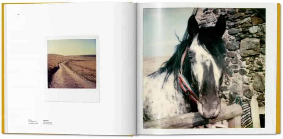 obrazek 4 Książka Linda McCartney. The Polaroid Diaries - Taschen