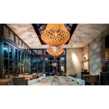 Zdjęcie Artystyczny żyradnol idealny do salonu