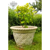 Picture A unique classic basket flowerpot