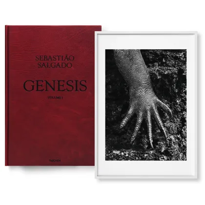 Zdjęcie Książka Sebastião Salgado. GENESIS, Art Edition No. 301–400 ‘Marine Iguana, Galápagos, Ecuador’ - Taschen