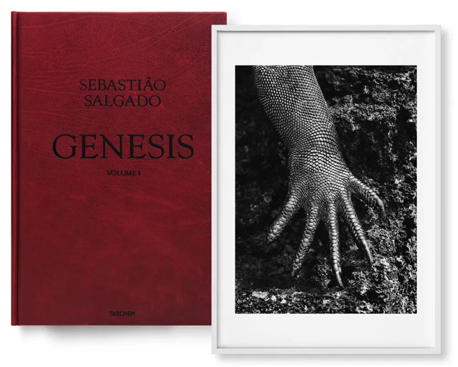 obrazek 1 Książka Sebastião Salgado. GENESIS, Art Edition No. 301–400 ‘Marine Iguana, Galápagos, Ecuador’ - Taschen