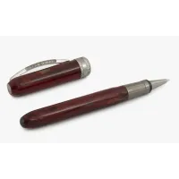 Picture Original Rembrandt-S Bordeaux ballpoint pen