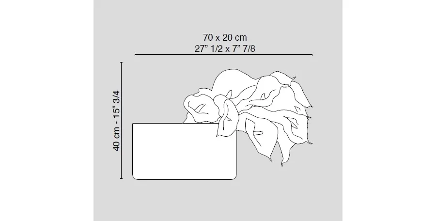 obrazek 6 Minimalistyczna aranżacja z kwiatów kalii w wazonie