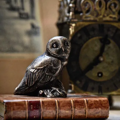 Zdjęcie Przycisk do papieru z sową!