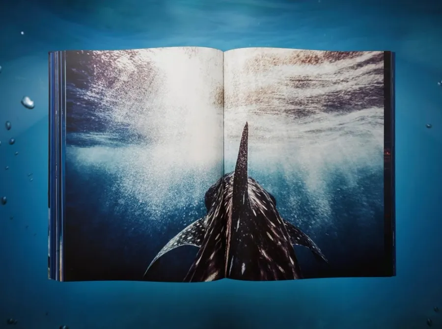 obrazek 11 Książka Michael Muller. Sharks - Taschen