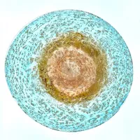 Picture Exclusive decorative plate from the Earth and Water series - a great gift decoration for a special person
