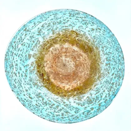 Zdjęcie Ekskluzywny dekoracyjny talerz z serii Ziemia i Woda - wspaniała dekoracja na prezent dla wyjątkowej osoby