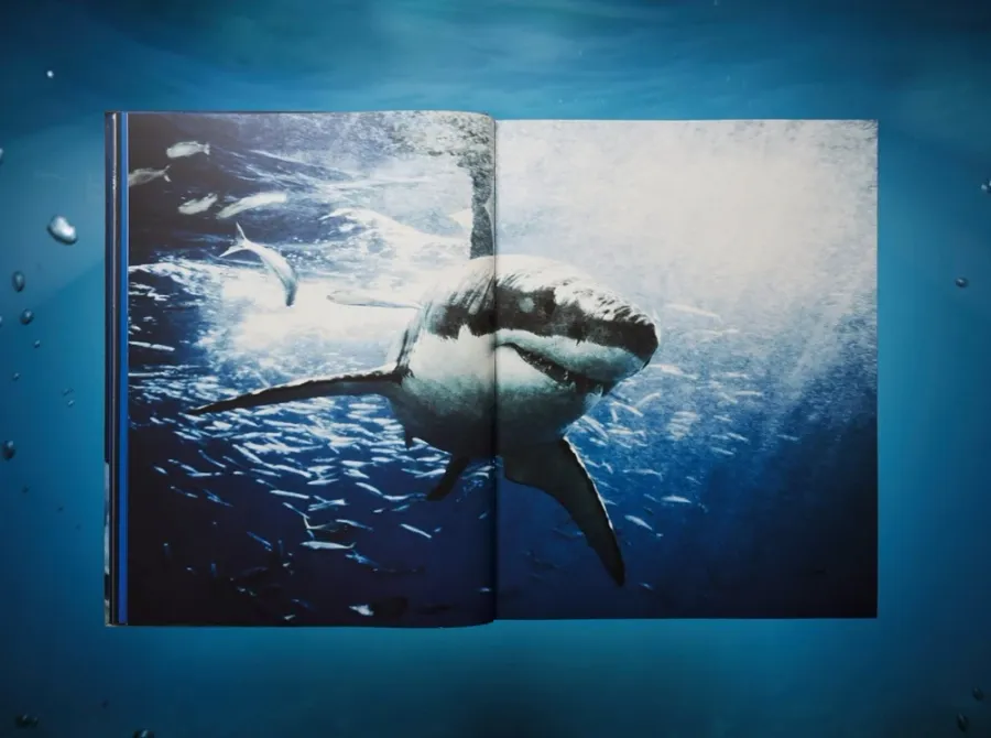 obrazek 4 Książka Michael Muller. Sharks - Taschen