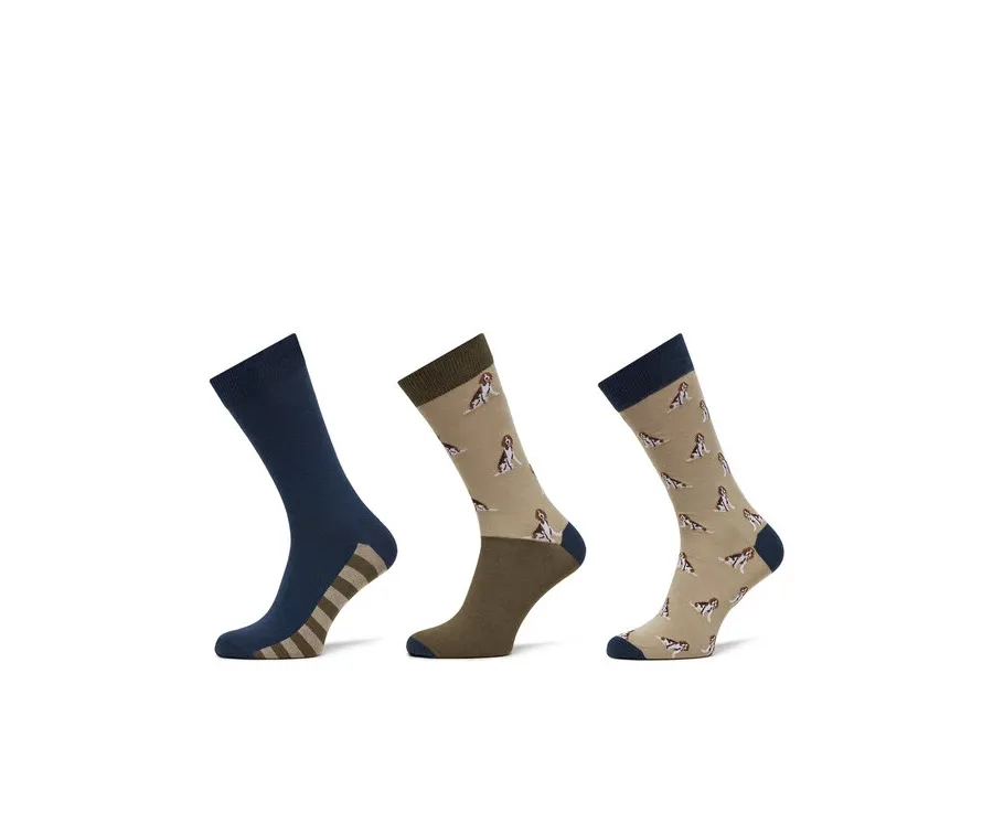 obrazek 1 Barbour Zestaw 3 par wysokich skarpet męskich Beagle Dog MGS0070BE31 Beżowy